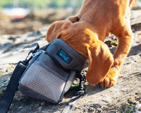 Henry Wag Treat Travel Bag | Training Treat Pouch & Dog Walking Bag
