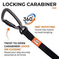 The Canny Company Recall Lead | Long Line for Recall Training | 5m or 7m | Brushed Steel or Carabiner