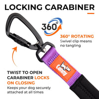 The Canny Company Lead | Ultralight Padded Handle Dog Lead | 4 Colours | 2 Sizes