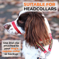 The Canny Company Training Lead | Double-Ended Multi-Positional Dog Lead | 180cm
