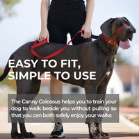 The Canny Colossus | No-Pull Headcollar for Large & Giant Breed Dogs | 58-69cm