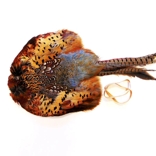 Pheasant Pelt Dummy | Cock OR Hen | Genuine Cured Pelt — Sporting Saint