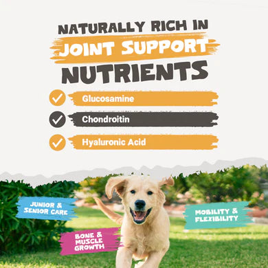 Chicken Bone Broth Powder | 250g Pack