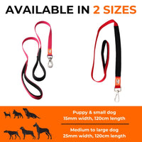 The Canny Company Lead | Ultralight Padded Handle Dog Lead | 4 Colours | 2 Sizes