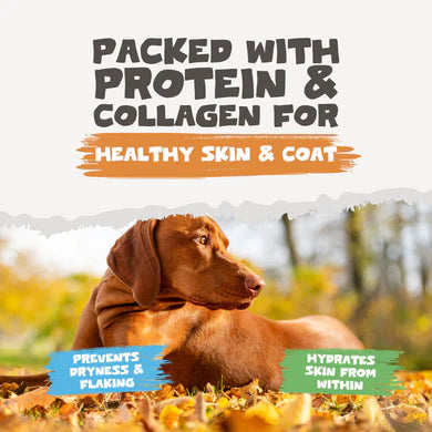 Chicken Bone Broth Powder | 250g Pack