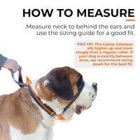The Canny Colossus | No-Pull Headcollar for Large & Giant Breed Dogs | 58-69cm