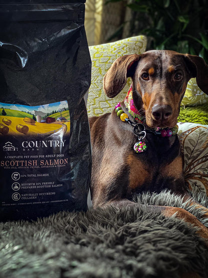 Scottish Salmon-Dry Dog Food
