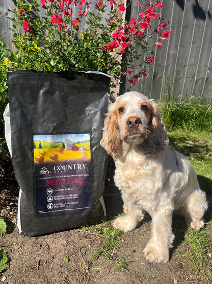 Angus Beef-Dry Dog Food