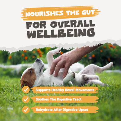 Chicken Bone Broth Powder | 250g Pack