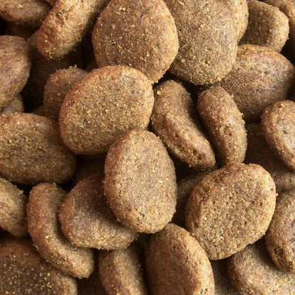 Hypoallergenic Salmon-Dry Dog Food