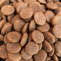 ProTrain Grain-Free Duck Dry Dog Food | 50% Duck | Made in the UK