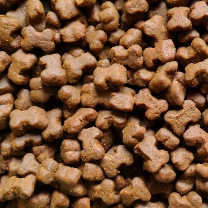 ProTrain Fresh Small Bites Dog Training Treats – 80% Meat/Fish High-Value Rewards for Puppy & Gundog Training (UK Made)