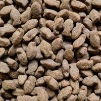 ProTrain Fresh Small Bites — small soft training treats for puppies and adult dogs
