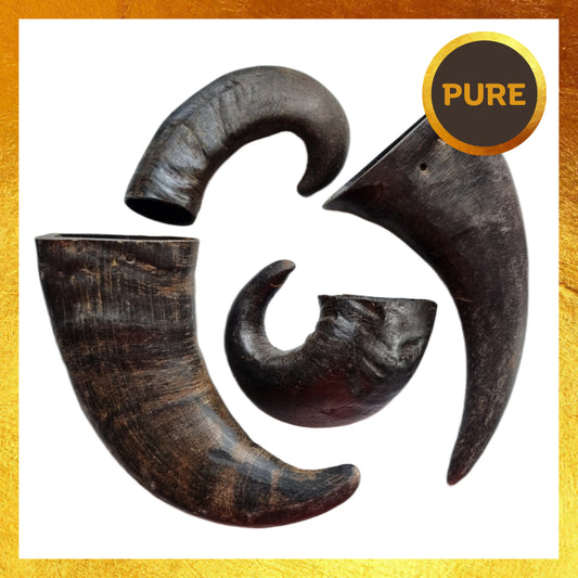 Buffalo Horns-Pure - Primal-Low Fat-Supplied Loose
