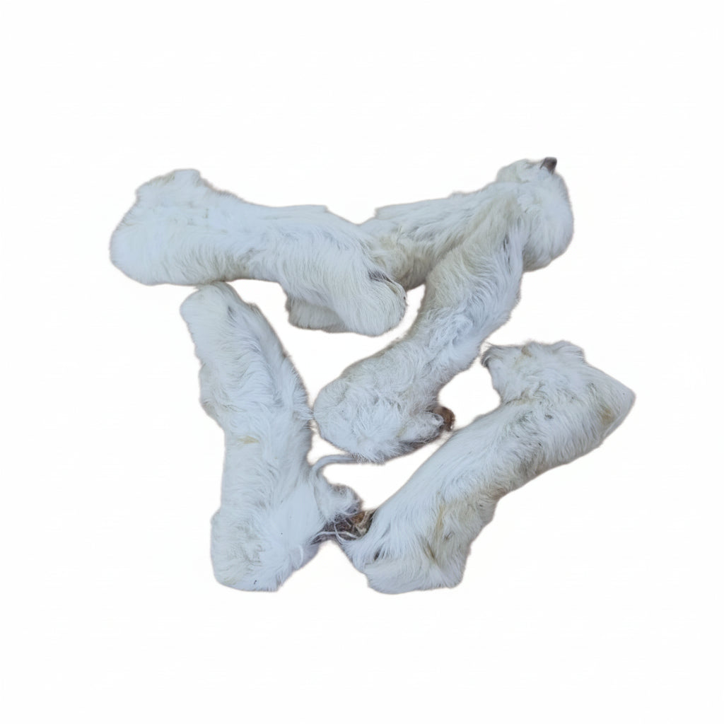 ProTrain Furry Rabbit Feet | Natural Dewormer Dog Chew