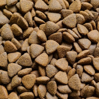ProTrain All Life Stages Grain Free British Free Range Chicken Dry Dog Food (Made in UK)