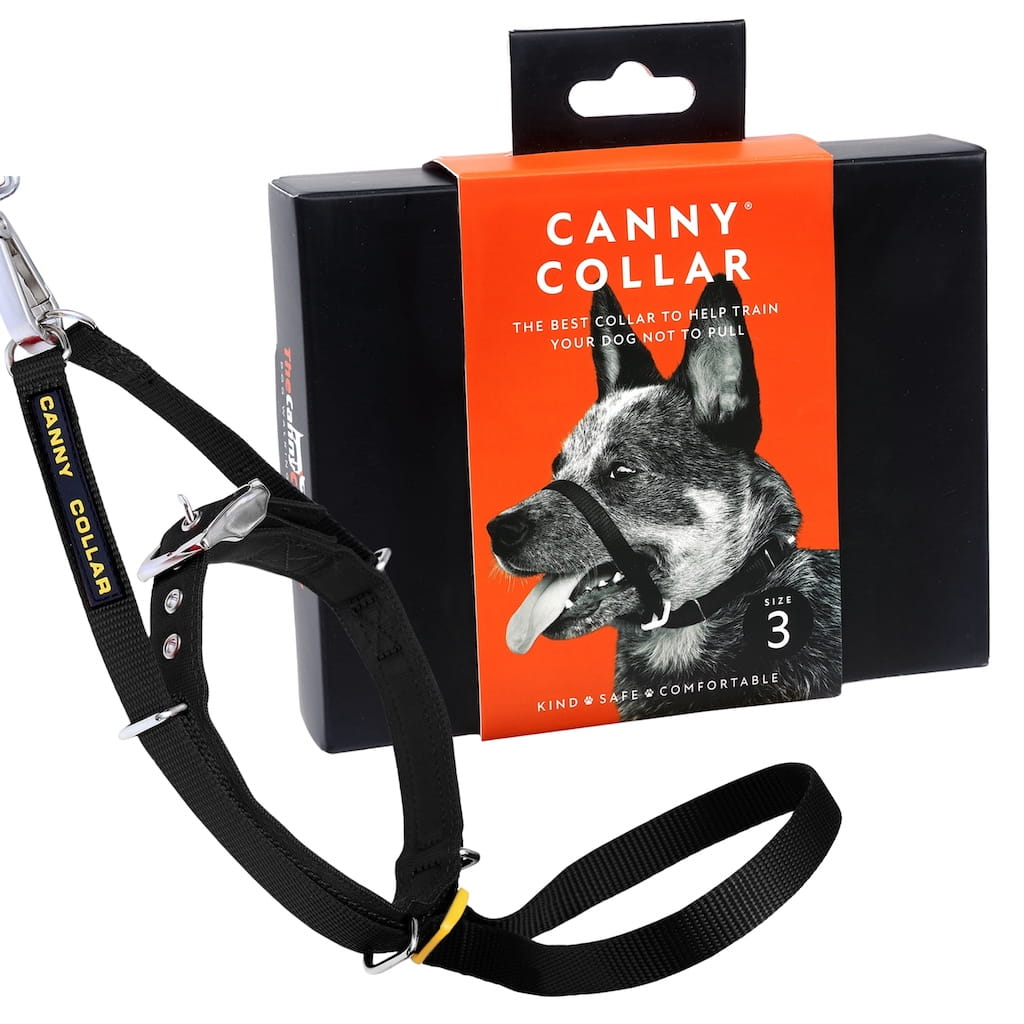 The Canny Collar | No-Pull Dog Headcollar | Voted Best New Product | 4 Colours | 7 Sizes