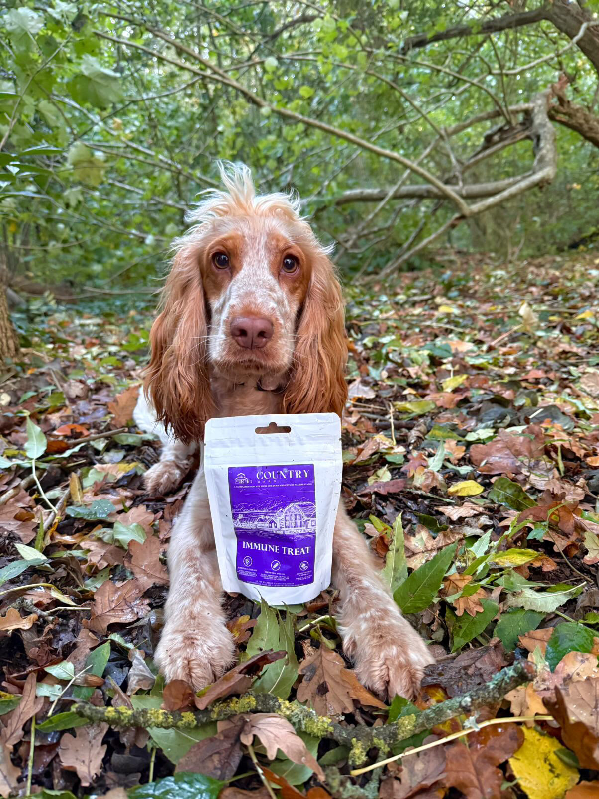 Immune Boost Bites-Dog Treats