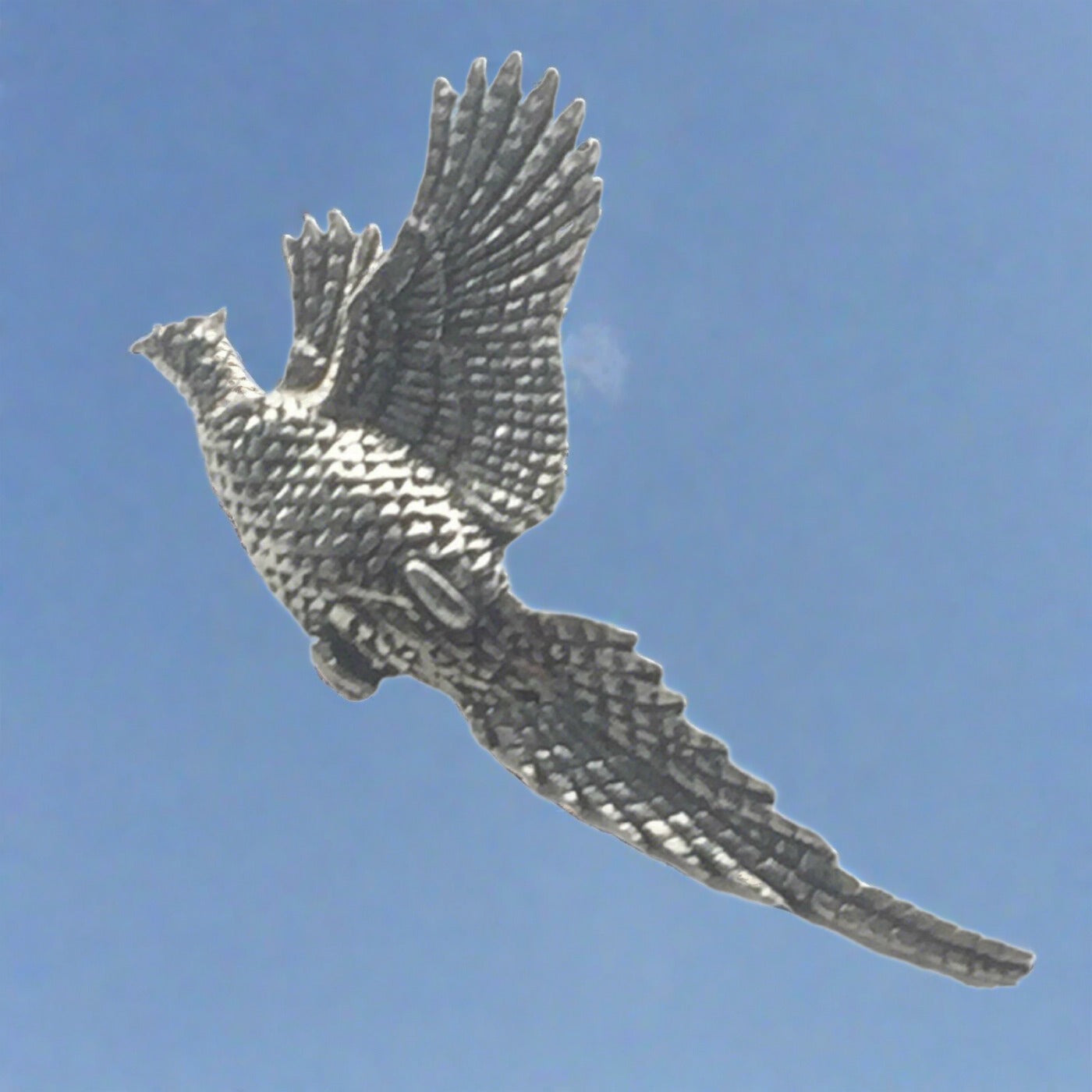Rising Pheasant Pewter Pin Badge