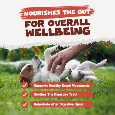 Beef Bone Broth Powder | 250g