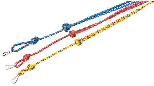 3mm Lanyard Multi Coloured by Bisley