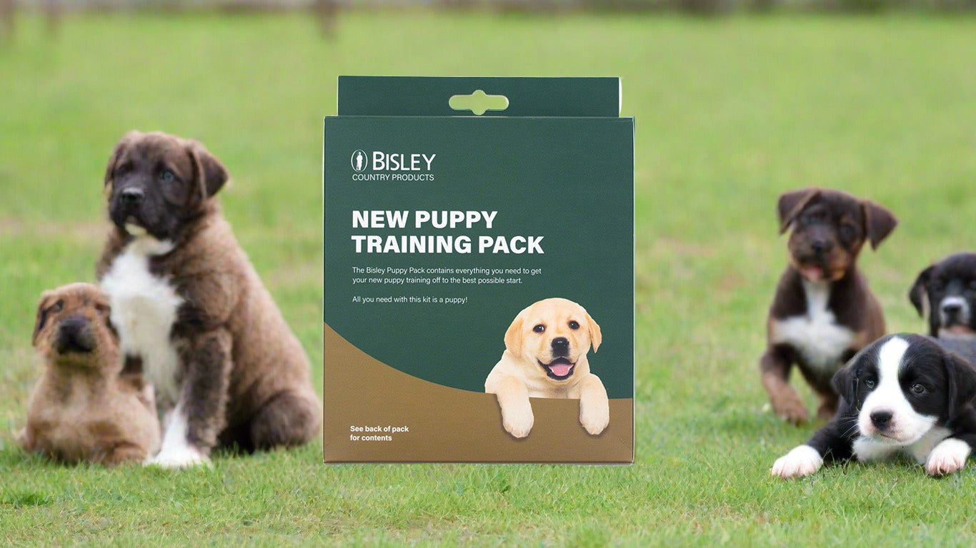Bisley New Puppy Pack | Complete Gundog Puppy Starter Kit | Dummy, Whistles, Lead & Lanyard