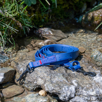 Rufus 3-in-1 Adjustable Dog Leash - Blue