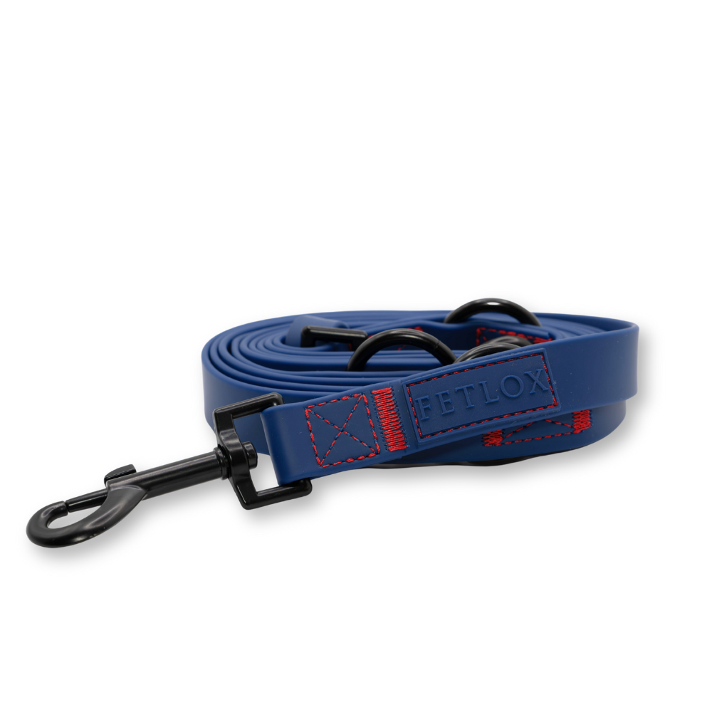 Rufus 3-in-1 Adjustable Dog Leash - Blue