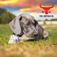 Buffalo Ears - Dog Treats - 50 Ears