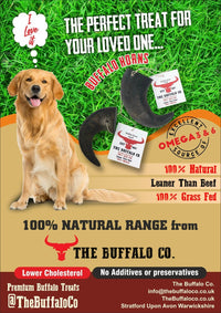 Buffalo Horn-Large (6-8 inch)-Dog Treats
