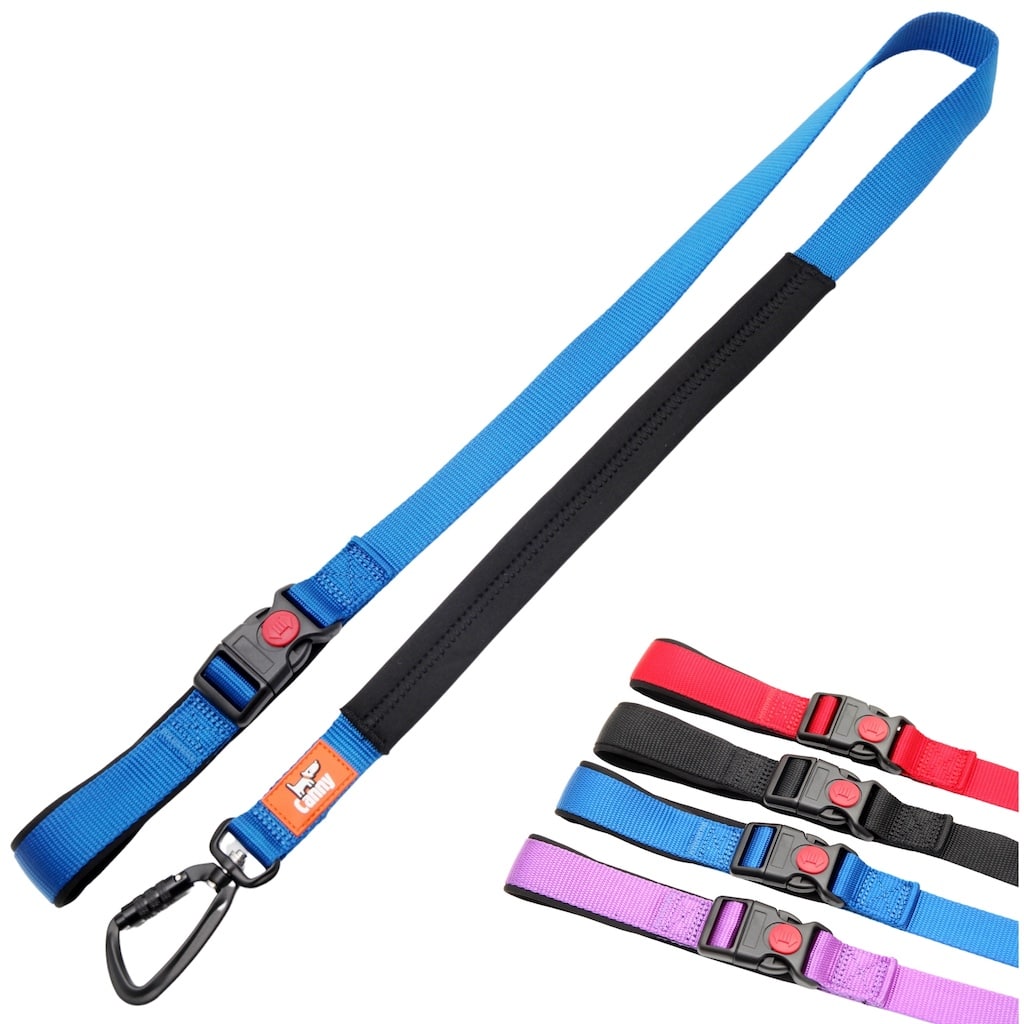 Canny CONNECT Lead