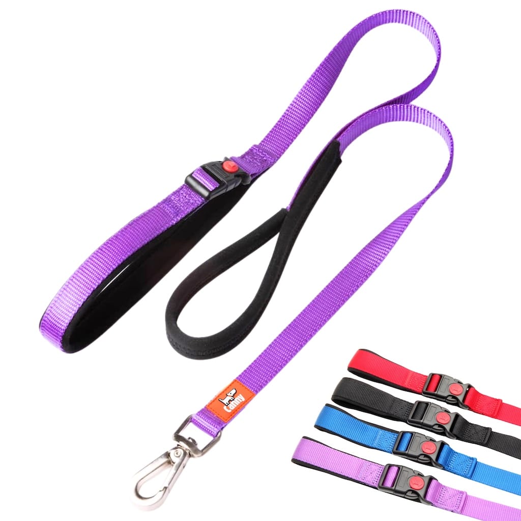 Canny CONNECT Lead