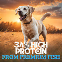 Country Pursuit Cold Pressed Ocean Fish & Sweet Potato - 3kg