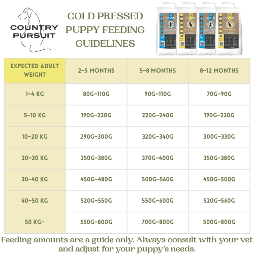 Country Pursuit Cold Pressed Ocean Fish & Sweet Potato Dry Dog Food