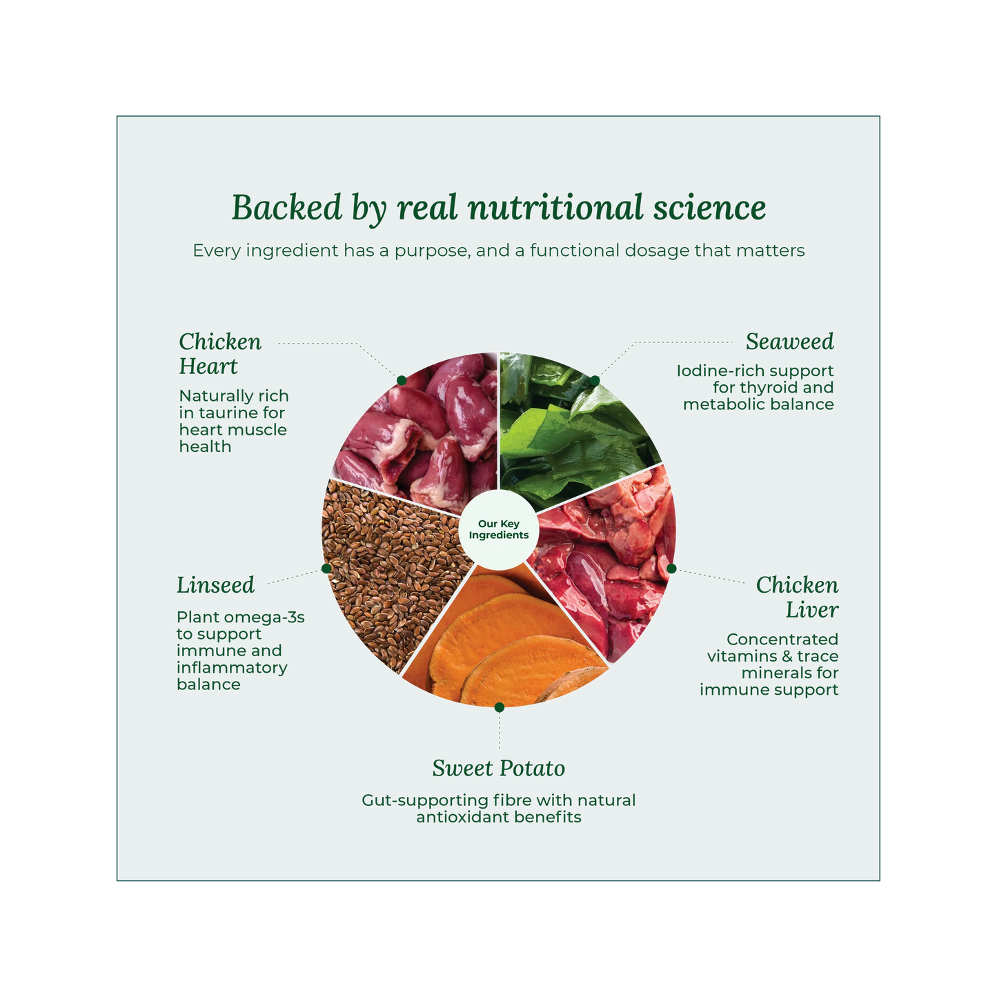 Wildcrofts Farmhouse Feast | Freeze-Dried Chicken with Sweet Potato | Supports Heart & Immunity