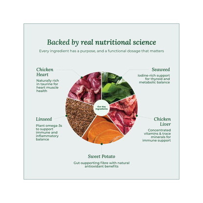 Wildcrofts Farmhouse Feast | Freeze-Dried Chicken with Sweet Potato | Supports Heart & Immunity