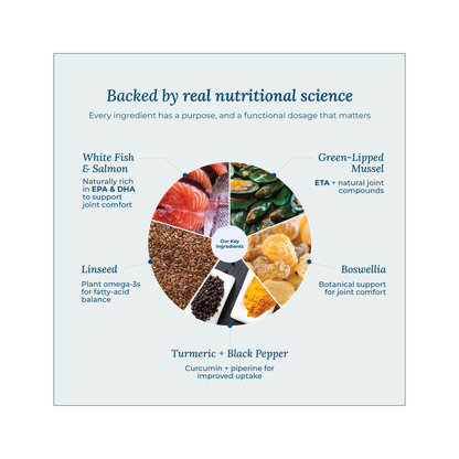 Wildcrofts Seafood Medley | Freeze-Dried White Fish, Salmon & Vegetables | Supports Joints & Immunity