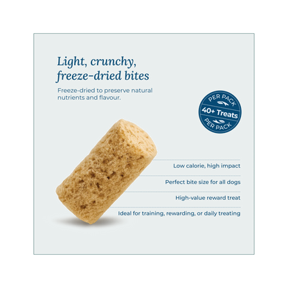 Wildcrofts Seafood Medley | Freeze-Dried White Fish, Salmon & Vegetables | Supports Joints & Immunity