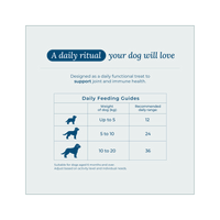 Wildcrofts Seafood Medley | Freeze-Dried White Fish, Salmon & Vegetables | Supports Joints & Immunity