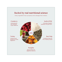 Wildcrofts Harvest Delight | Freeze-Dried Turkey with Pumpkin | Supports Digestion & Immunity