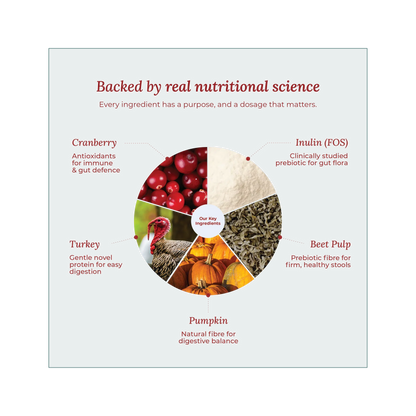 Wildcrofts Harvest Delight | Freeze-Dried Turkey with Pumpkin | Supports Digestion & Immunity