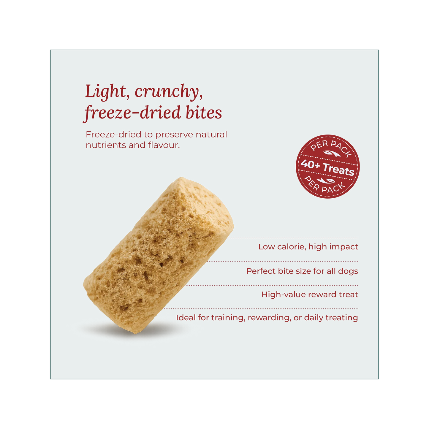 Wildcrofts Harvest Delight | Freeze-Dried Turkey with Pumpkin | Supports Digestion & Immunity
