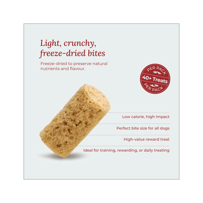 Wildcrofts Harvest Delight | Freeze-Dried Turkey with Pumpkin | Supports Digestion & Immunity