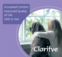 Clarifye