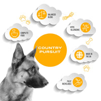 Country Pursuit Premium Chicken & Rice Adult Dry Dog Food - 300g Sample