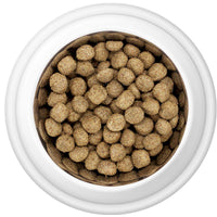 Country Pursuit Maintenance Lifestyle Adult Dog Food 300g Sample
