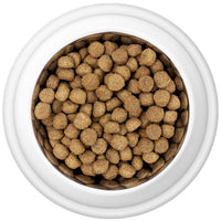 Country Pursuit 365 Original Adult Dog Food 300g Sample