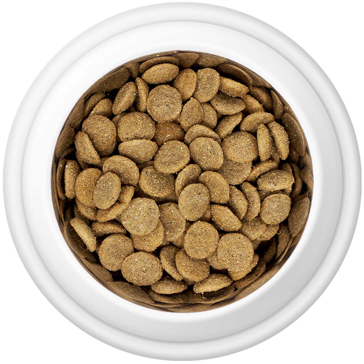 Premium Chicken & Rice Adult Dry Dog Food