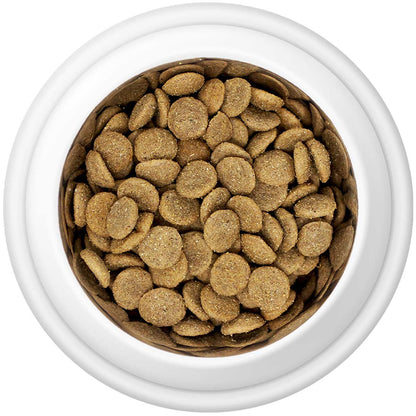 Premium Chicken & Rice Adult Dry Dog Food