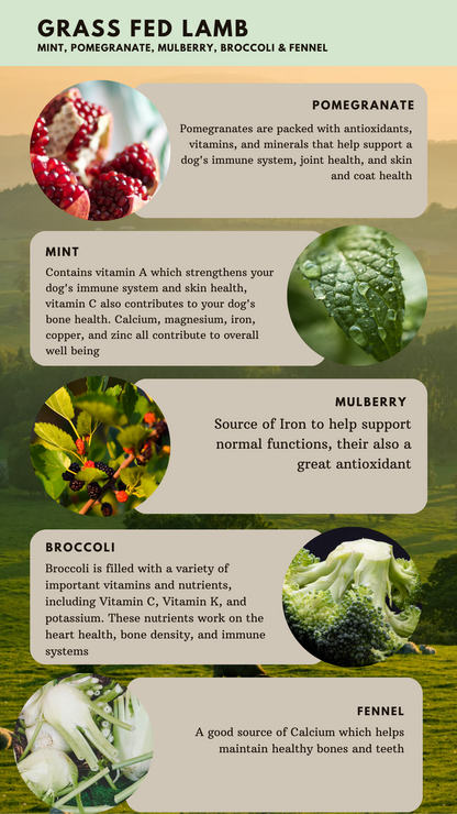 British Grass Fed Lamb-Dry Dog Food